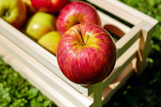 Liberty Apple Tree (EMLA 7 / 60% size)- 7 Gallon Potted