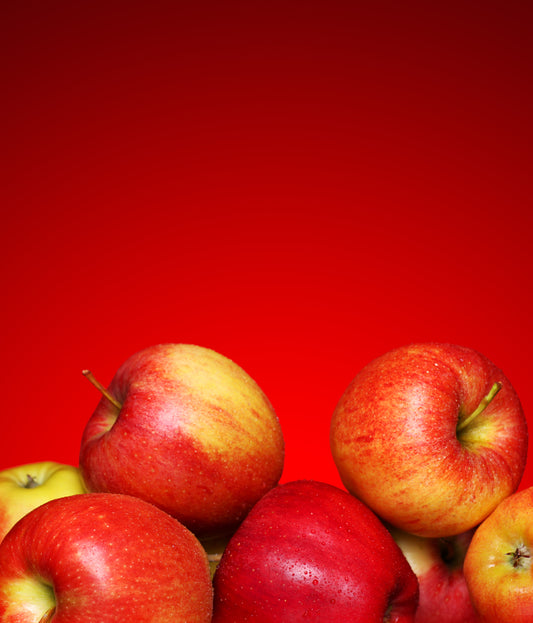 Ambrosia Apple Tree - 7 Gallon Potted