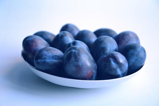Long John European Plum - 7 Gallon Potted