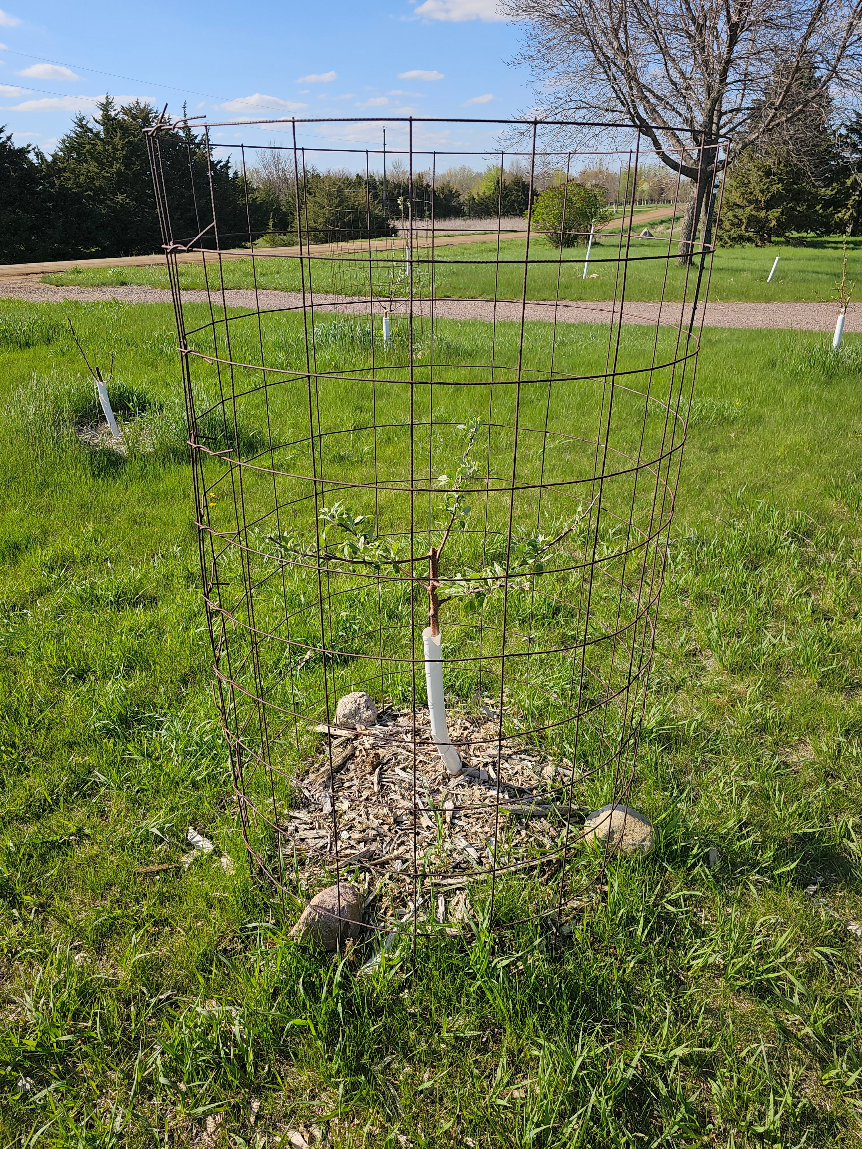 Growing Accessories – 13 Point 3 Farms