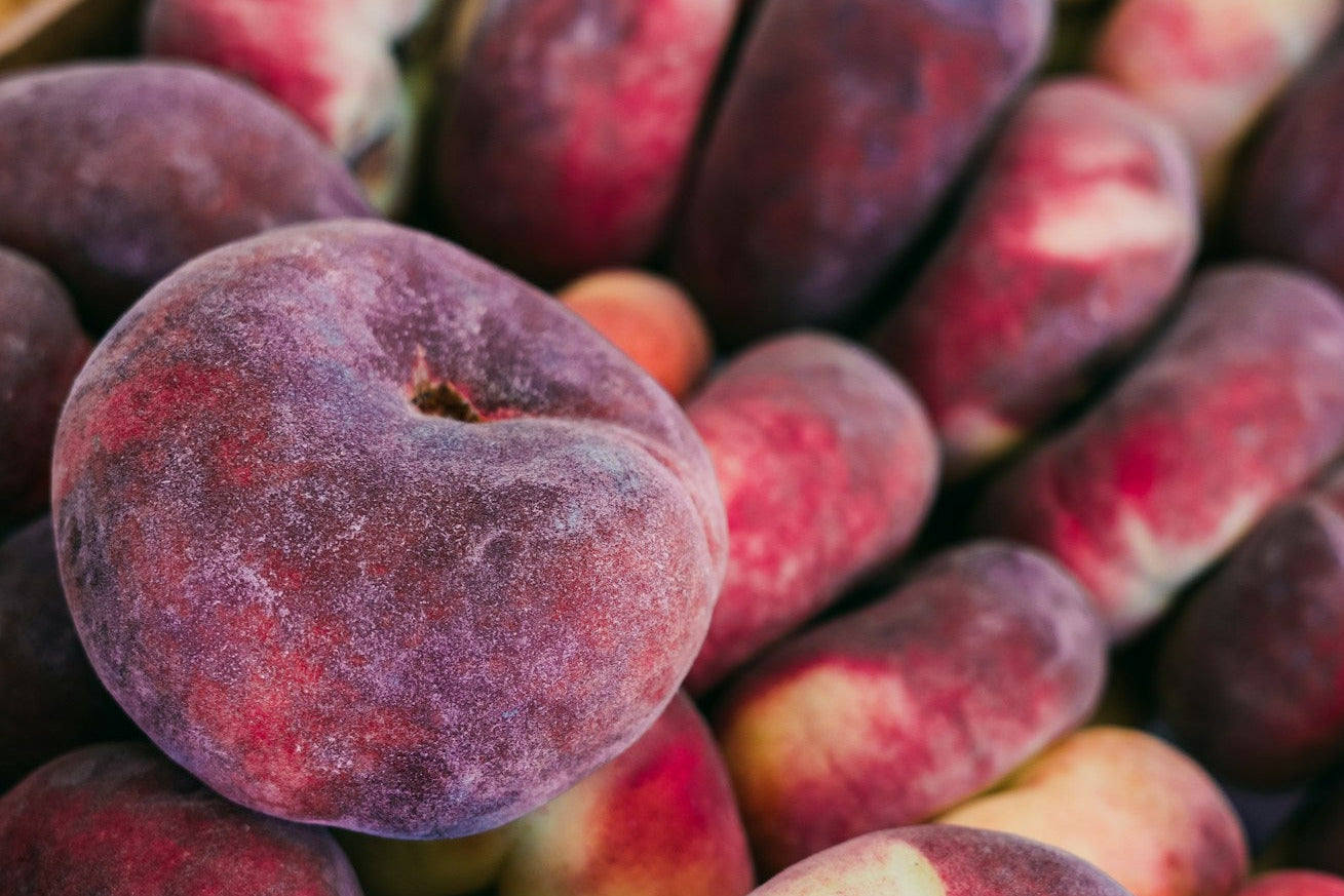 Orion® Peach Tree| Bailey - Bare Root (Spring 2026)