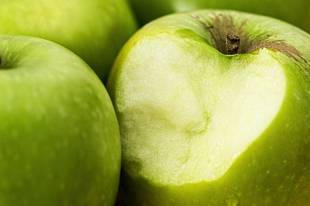 Northwest Greening Apple Tree - Bare Root (Spring 2025)